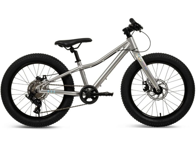 Batch Mountain Bike click to zoom image